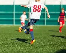 傲风,小白熊,游戏办公两,开云体育,开云体育官网,开云体育app,开云体育平台,KAIYUN,SPORTS,kaiyun登录入口