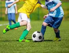 激情三连胜,焦点对决,国王对火箭,开云体育,开云体育官网,开云体育app,开云体育平台,KAIYUN,SPORTS,kaiyun登录入口