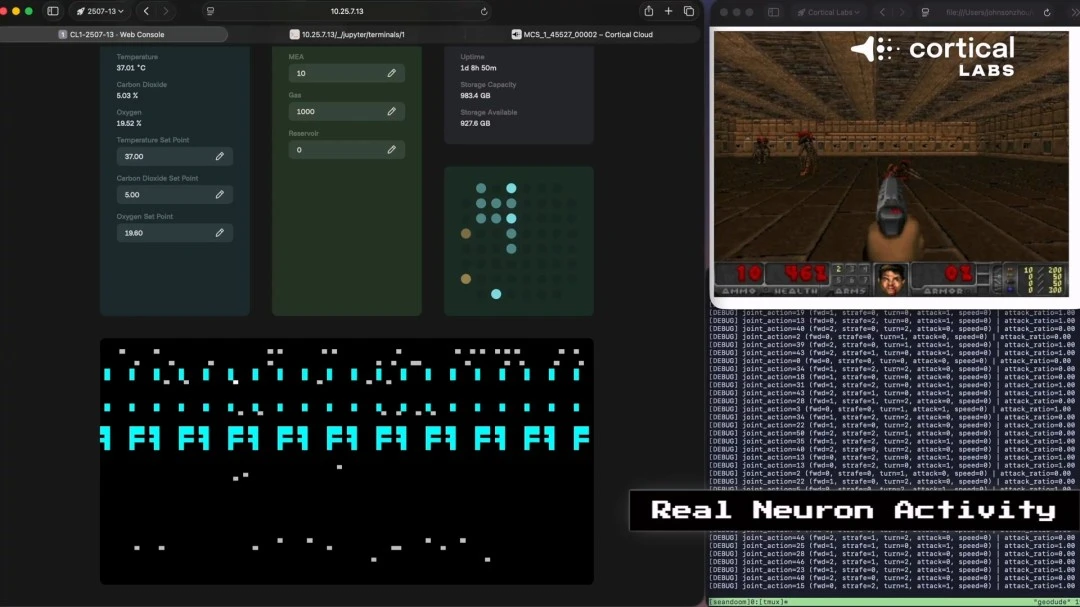 拜仁德甲受,后防线增兵,无望自由球,开云体育,开云体育官网,开云体育app,开云体育平台,KAIYUN,SPORTS,kaiyun登录入口
