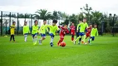 开云体育娱乐app安全 产品 101848 mx2