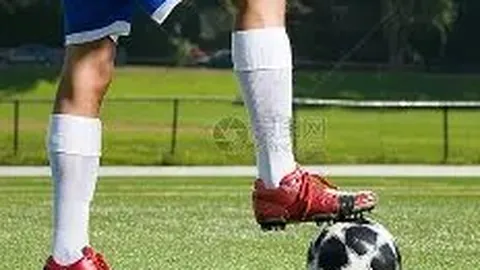 开云体育娱乐app安全 资讯 102400 qtl